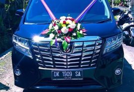 Sewa Alphard Untuk Wedding Di Bali