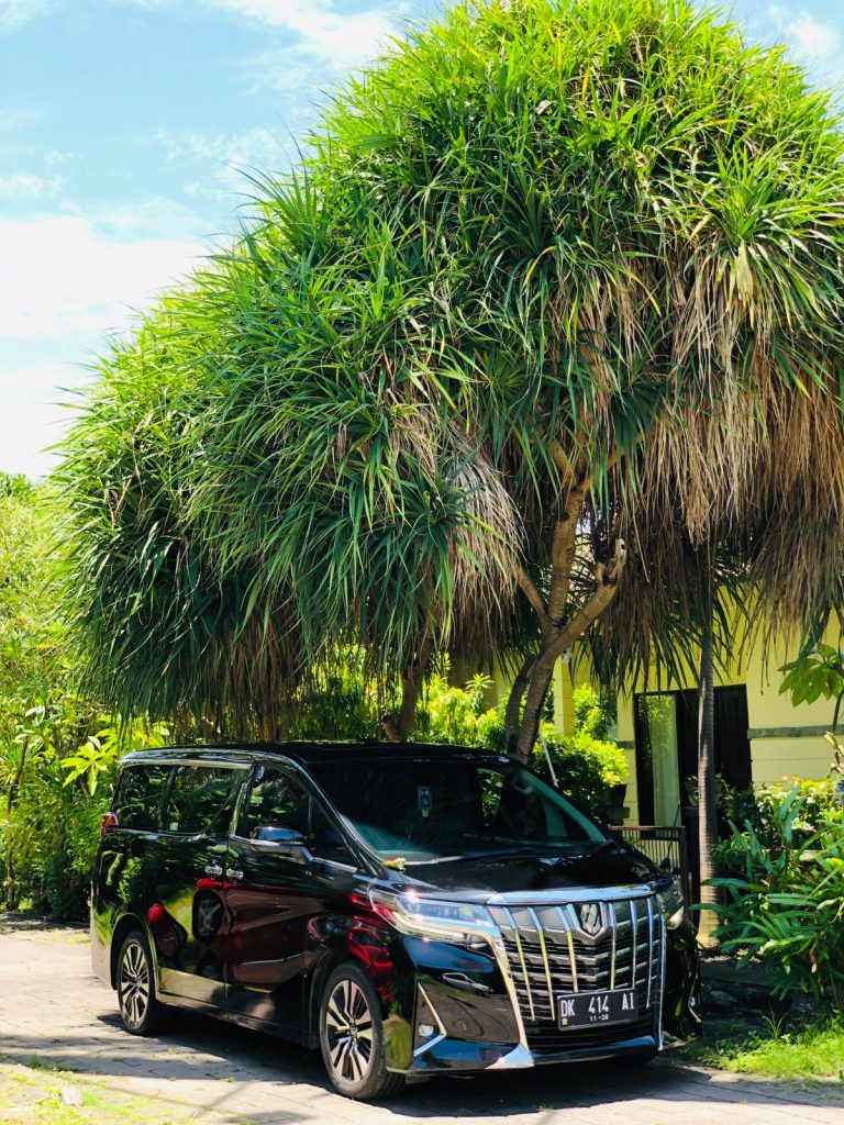 Sewa Mobil Alphard di Bali Saat Musim Hujan: Kenyamanan Maksimal di Tengah Tantangan Cuaca